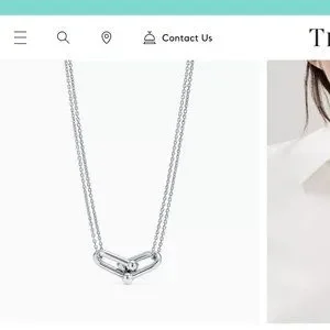 Tiffany & Co. | Accessories | Tiffany Co Hardware Double Link